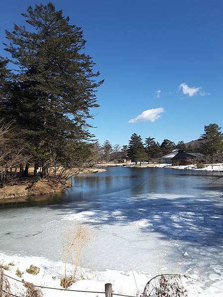 20170215_122817.jpg 20170215_122817.jpg