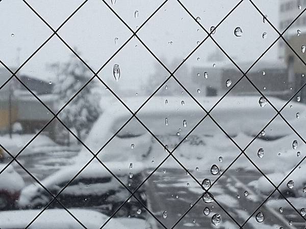 20170213_083840.jpg 20170213_083840.jpg