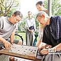 →國人平均壽命為79.5歲，證實了台灣逐漸邁入高齡化社會；圖為午後在公園內下棋的老人。（陳卓邦攝）