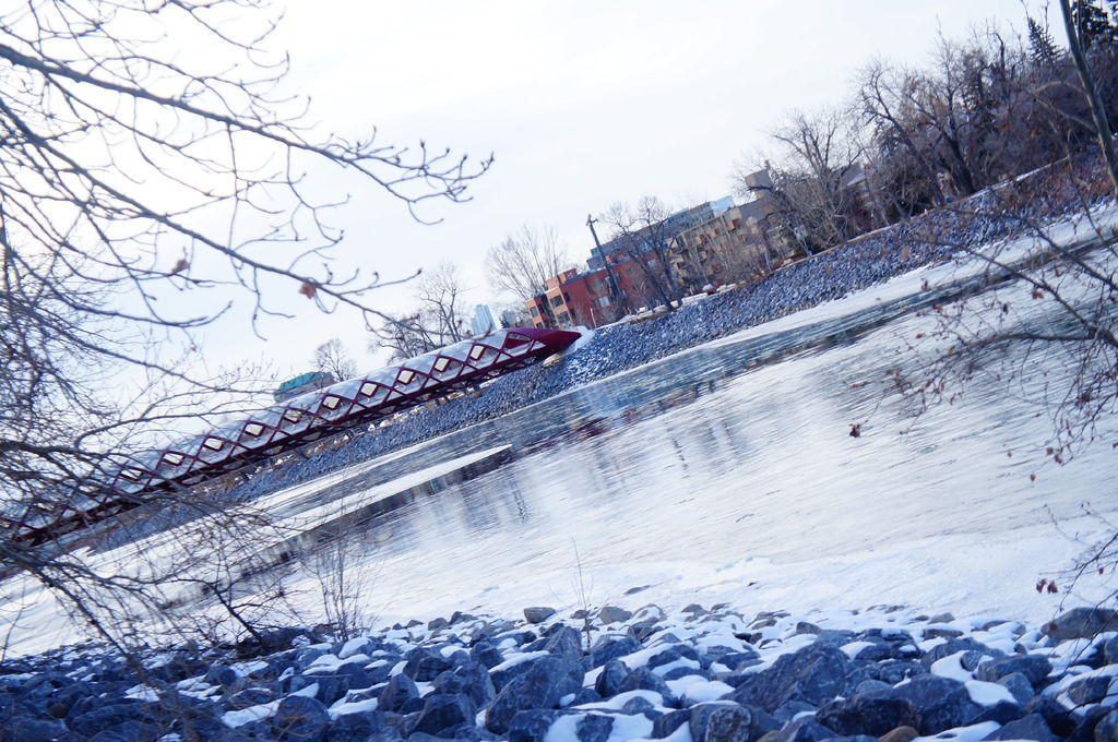 DSC04477.JPG DSC04477.JPG