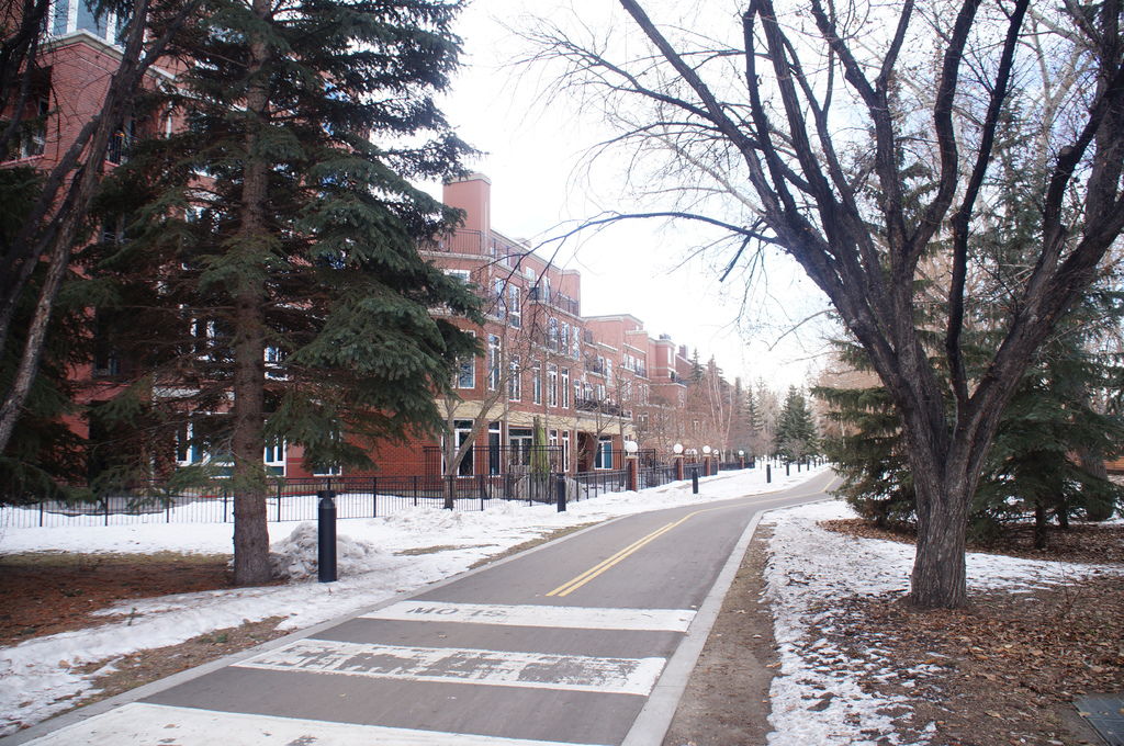 DSC04355.JPG DSC04355.JPG