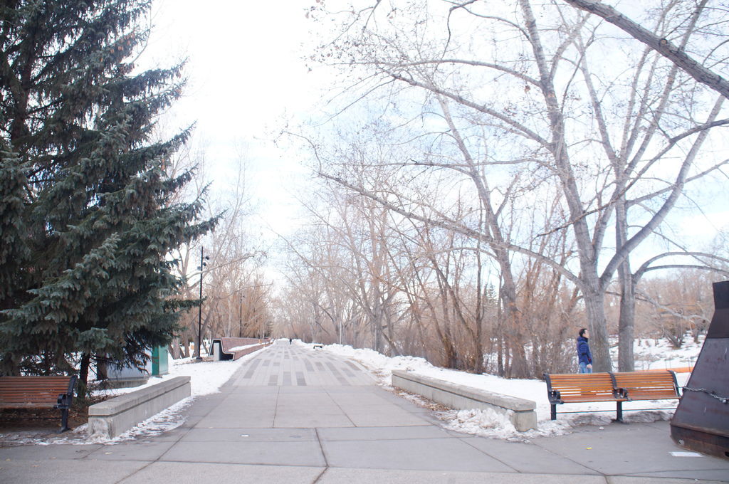 DSC04357.JPG DSC04357.JPG