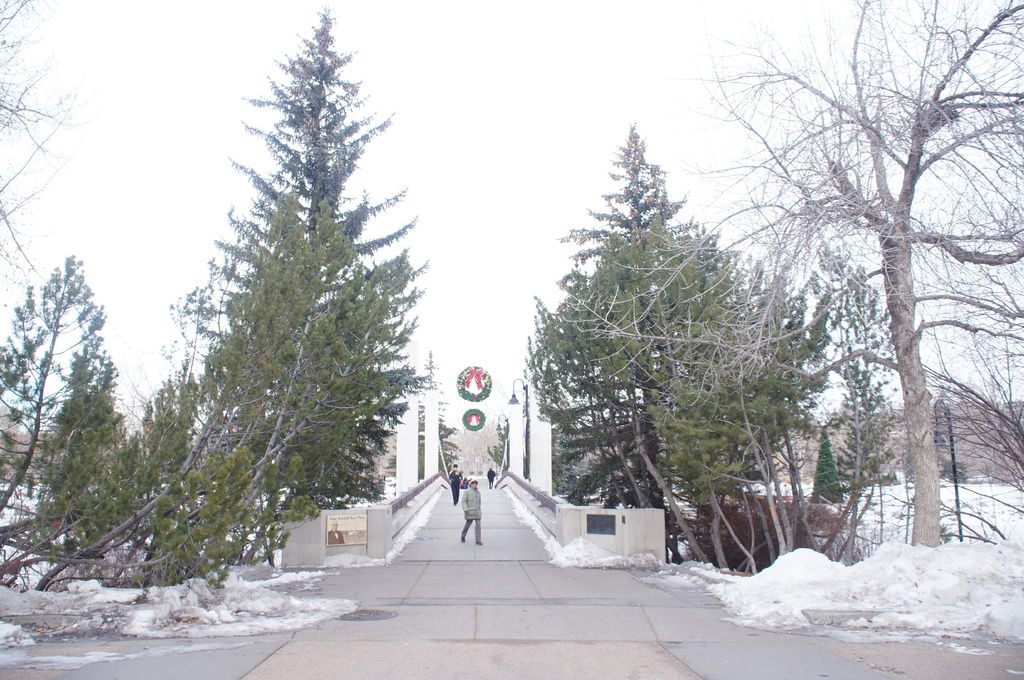 DSC04358.JPG DSC04358.JPG