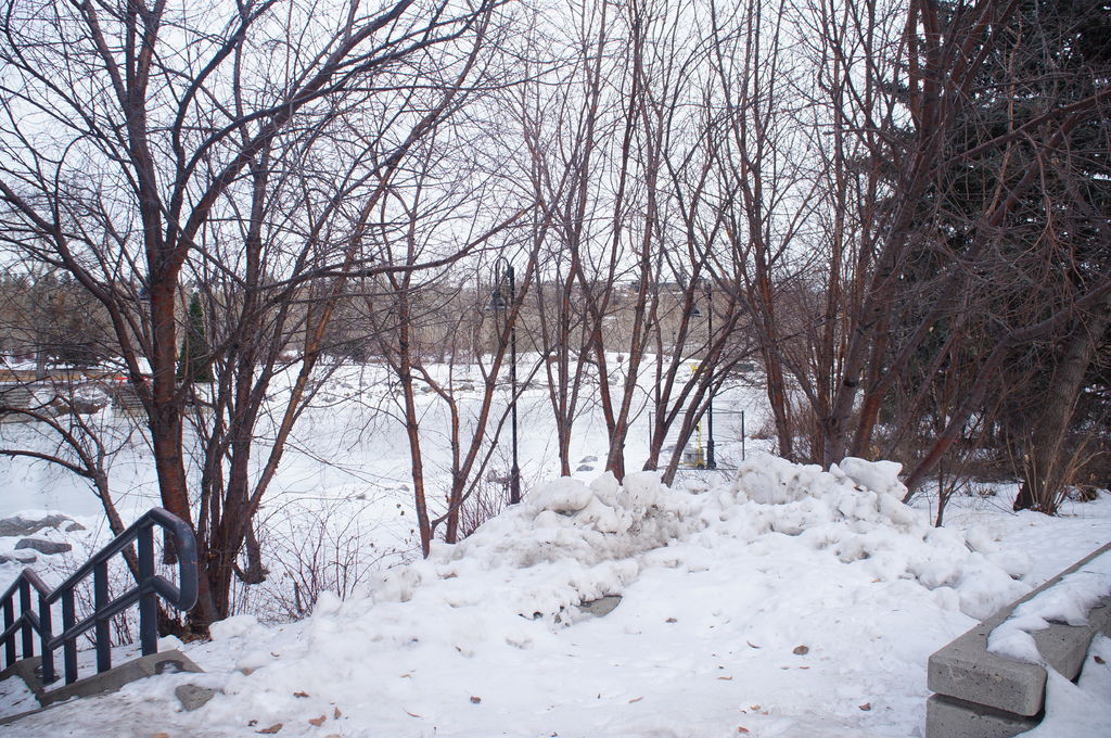 DSC04362.JPG DSC04362.JPG