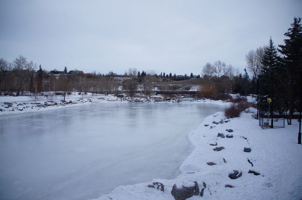 DSC04365.JPG DSC04365.JPG