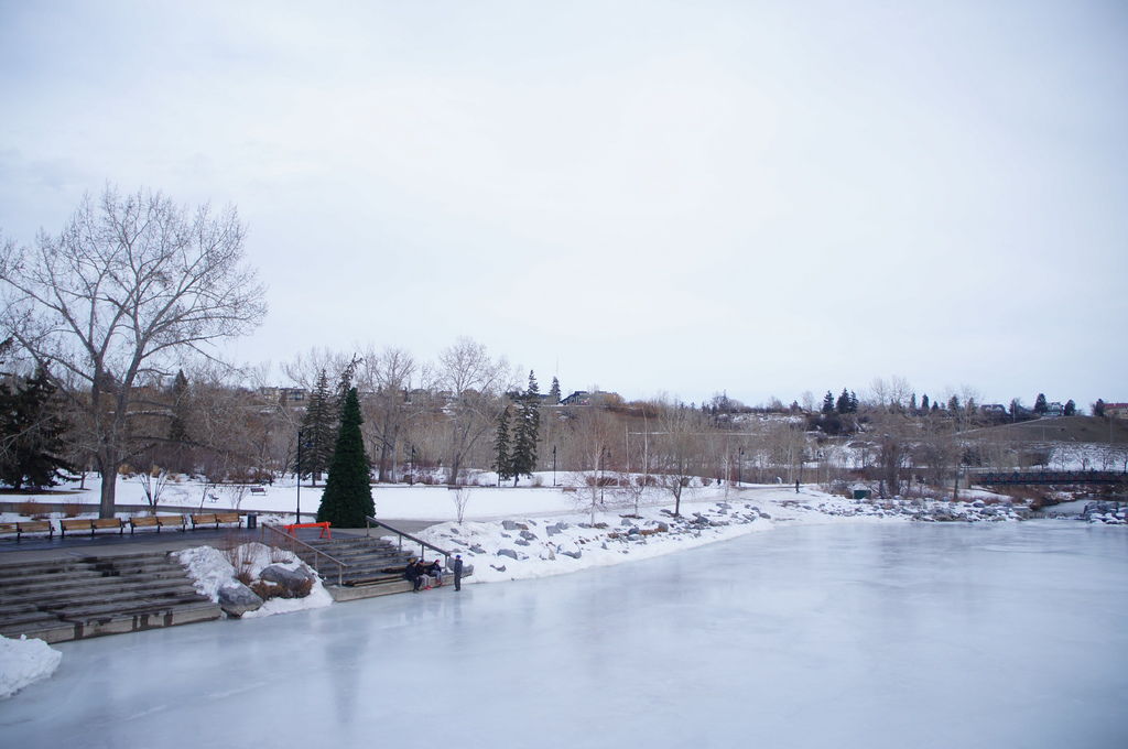 DSC04378.JPG DSC04378.JPG