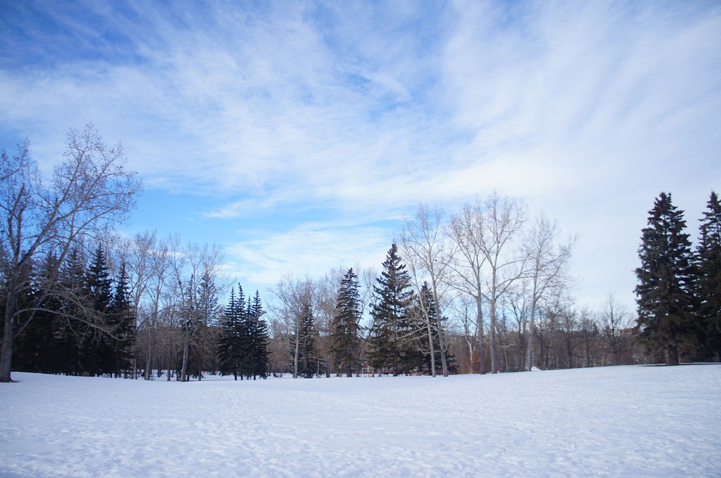 DSC04388.JPG DSC04388.JPG