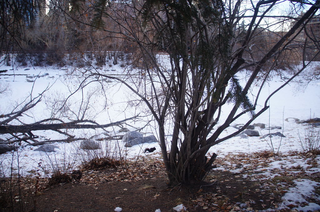 DSC04411.JPG DSC04411.JPG