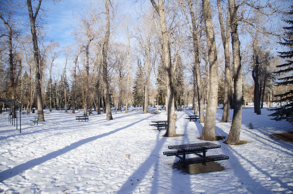 DSC04422.JPG DSC04422.JPG