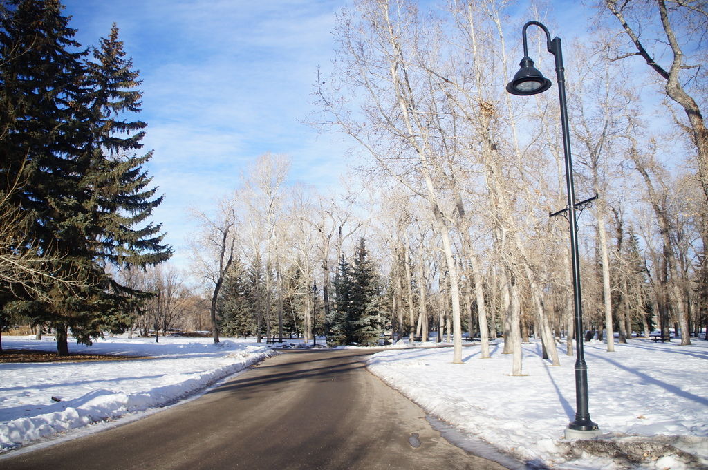 DSC04426.JPG DSC04426.JPG