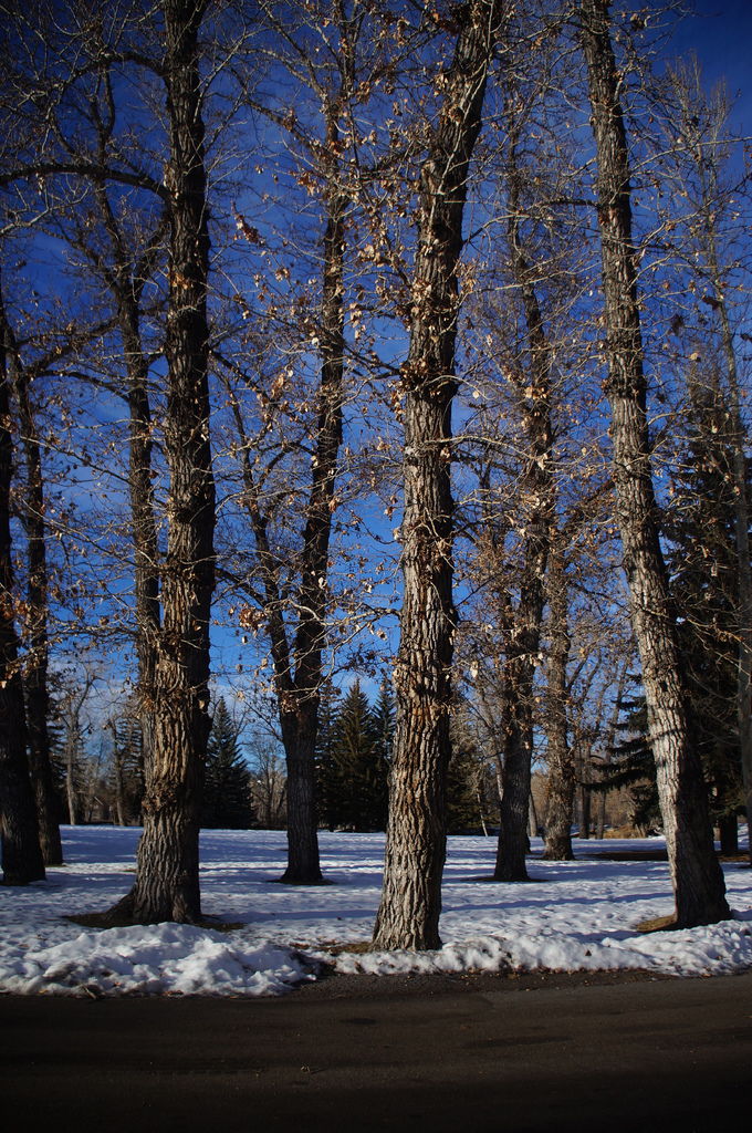 DSC04428.JPG DSC04428.JPG