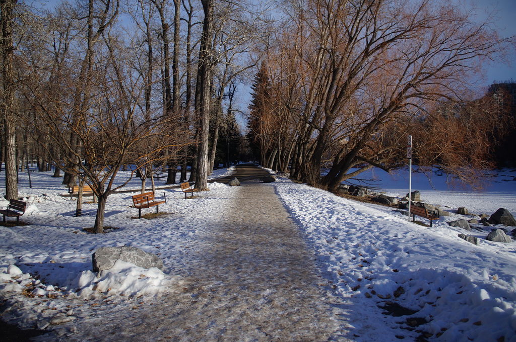 DSC04435.JPG DSC04435.JPG