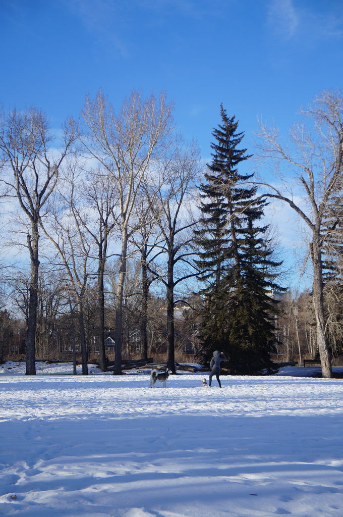 DSC04445.JPG DSC04445.JPG