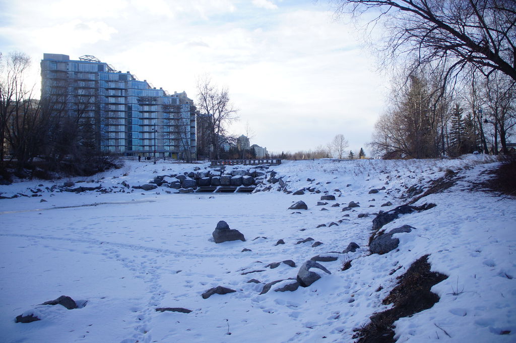 DSC04459.JPG DSC04459.JPG