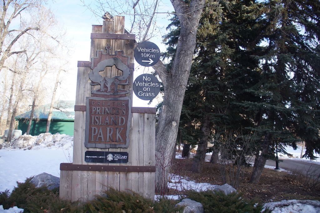 DSC04461.JPG DSC04461.JPG