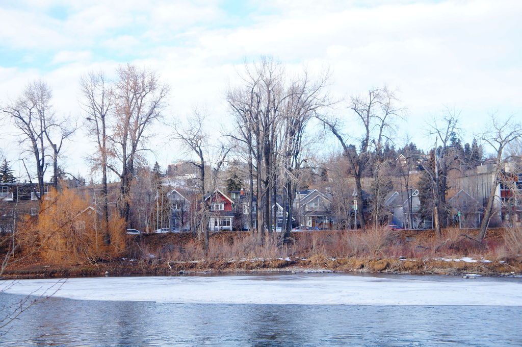 DSC04481.JPG DSC04481.JPG