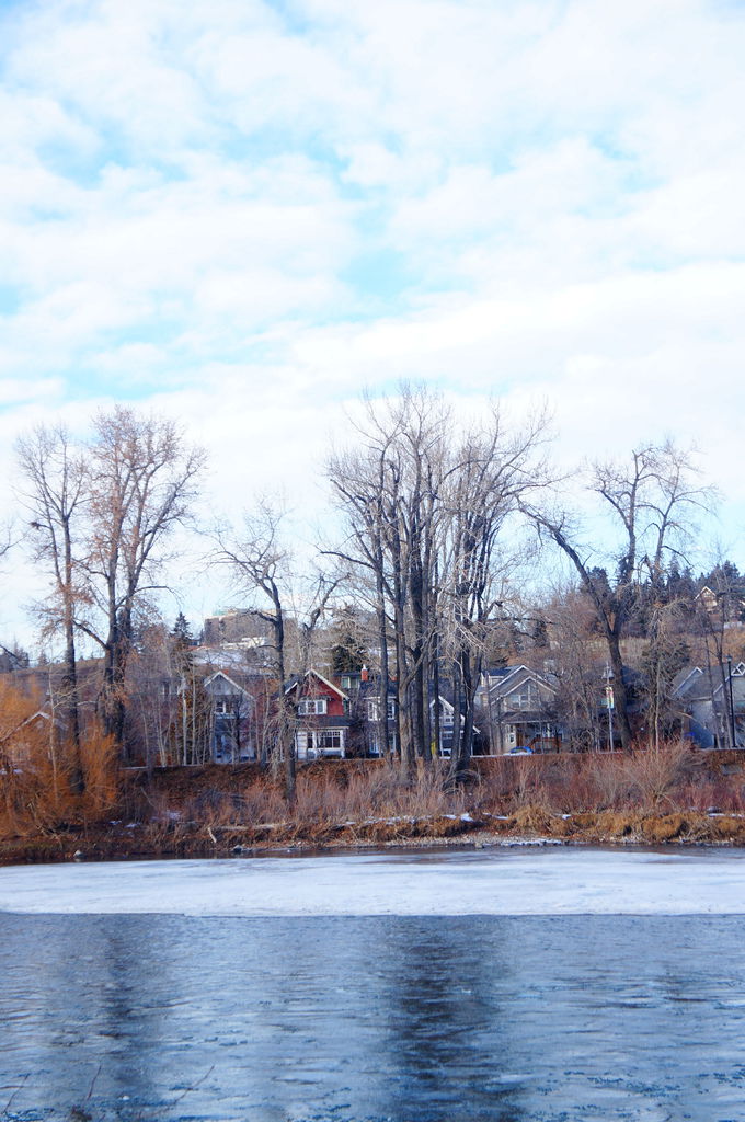 DSC04482.JPG DSC04482.JPG