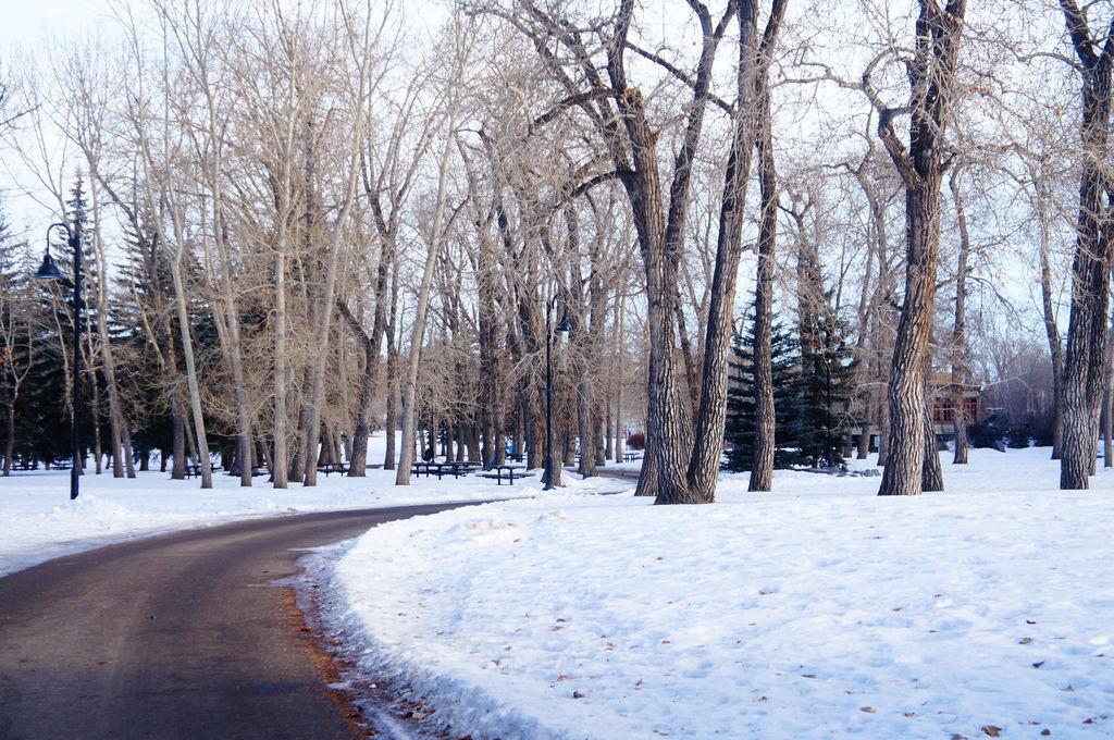 DSC04491.JPG DSC04491.JPG