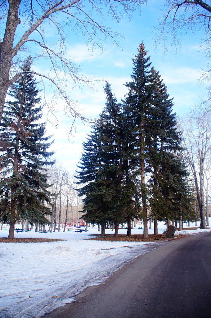 DSC04498.JPG DSC04498.JPG