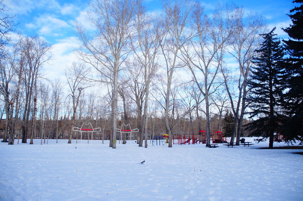 DSC04500.JPG DSC04500.JPG