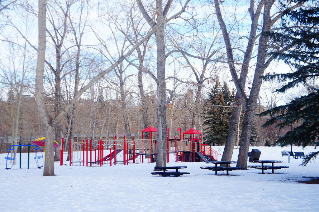 DSC04506.JPG DSC04506.JPG