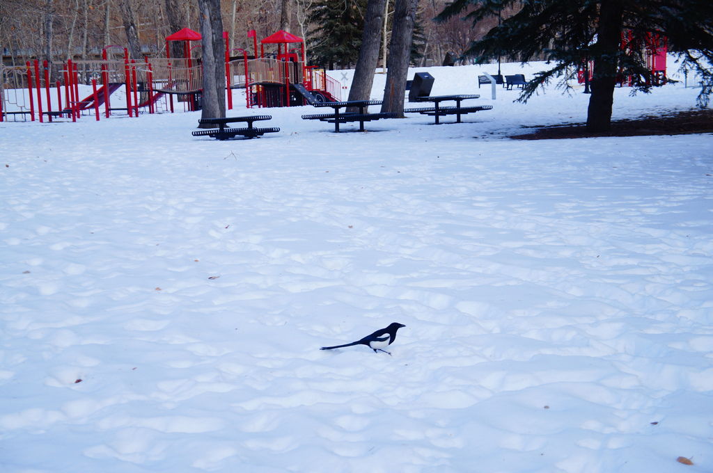 DSC04509.JPG DSC04509.JPG