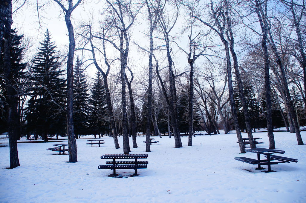 DSC04524.JPG DSC04524.JPG