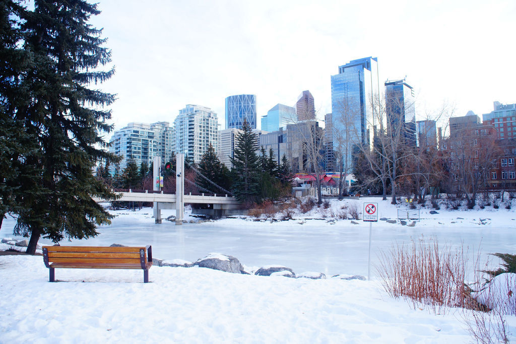 DSC04531.JPG DSC04531.JPG