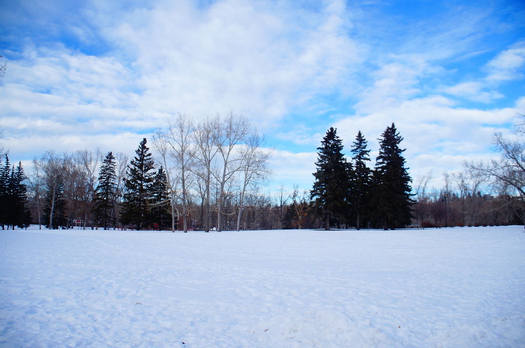 DSC04534.JPG DSC04534.JPG