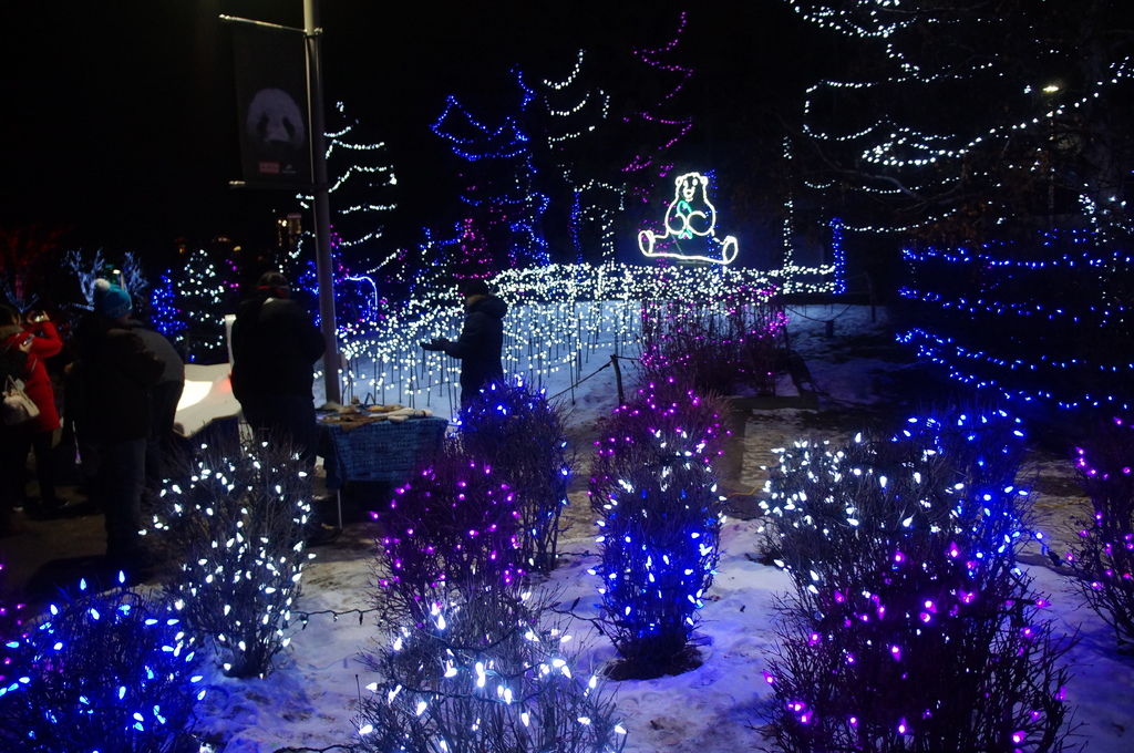 DSC04806.JPG DSC04806.JPG