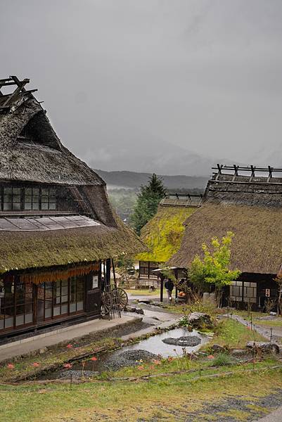 富士五湖非自駕行程交通分享