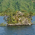 P38.jpg