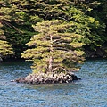 P37.jpg