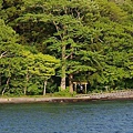 P41.jpg