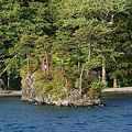 P42.jpg