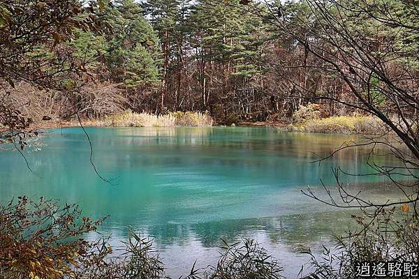 青沼 五色沼 福島駱駝 游重森 痞客邦 青沼 五色沼 福島駱駝 游重森 痞客邦