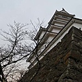 P07.jpg