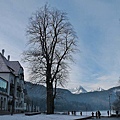 P23.jpg