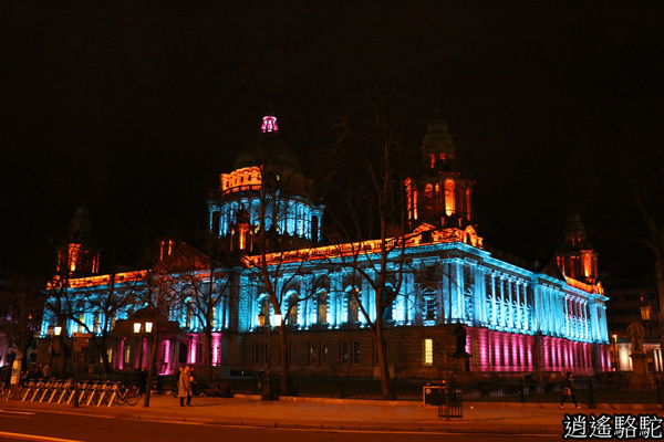 貝爾法斯特夜景-北愛爾蘭駱駝