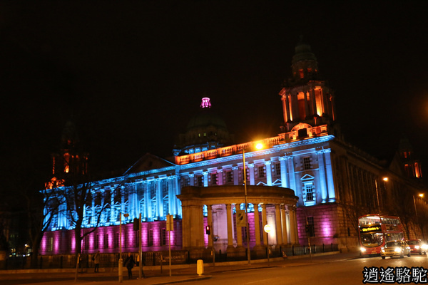 貝爾法斯特夜景-北愛爾蘭駱駝