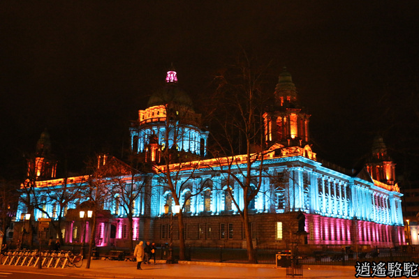 貝爾法斯特夜景-北愛爾蘭駱駝