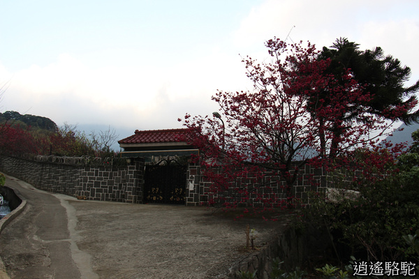 十八份拐圳 頂圳步道 台北駱駝 游重森 痞客邦 十八份拐圳 頂圳步道 台北駱駝 游重森 痞客邦
