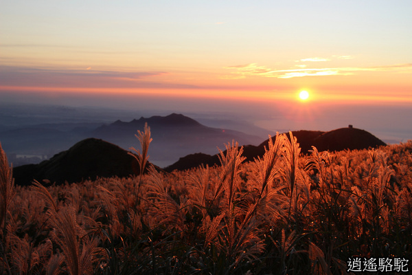 大屯夜景 台北駱駝 游重森 痞客邦