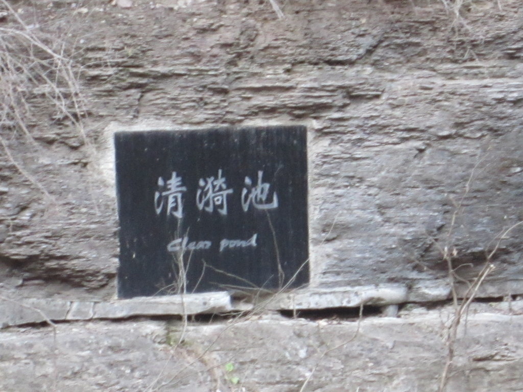 小寨溝雲台山風景區-中國駱駝