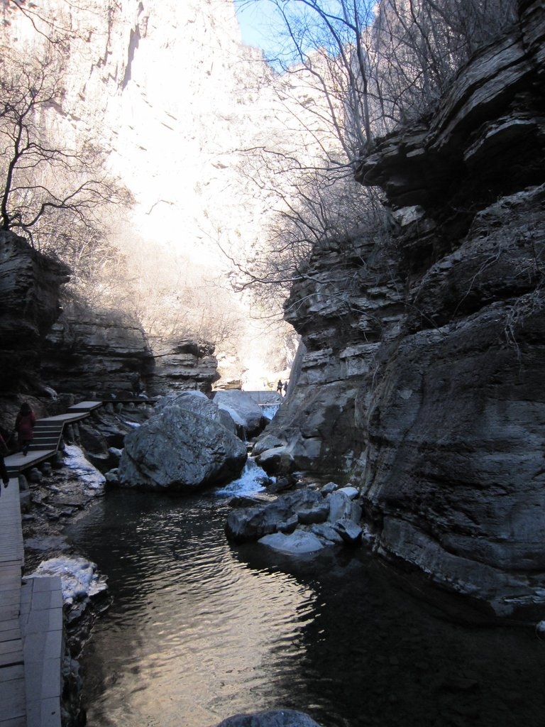 小寨溝雲台山風景區-中國駱駝