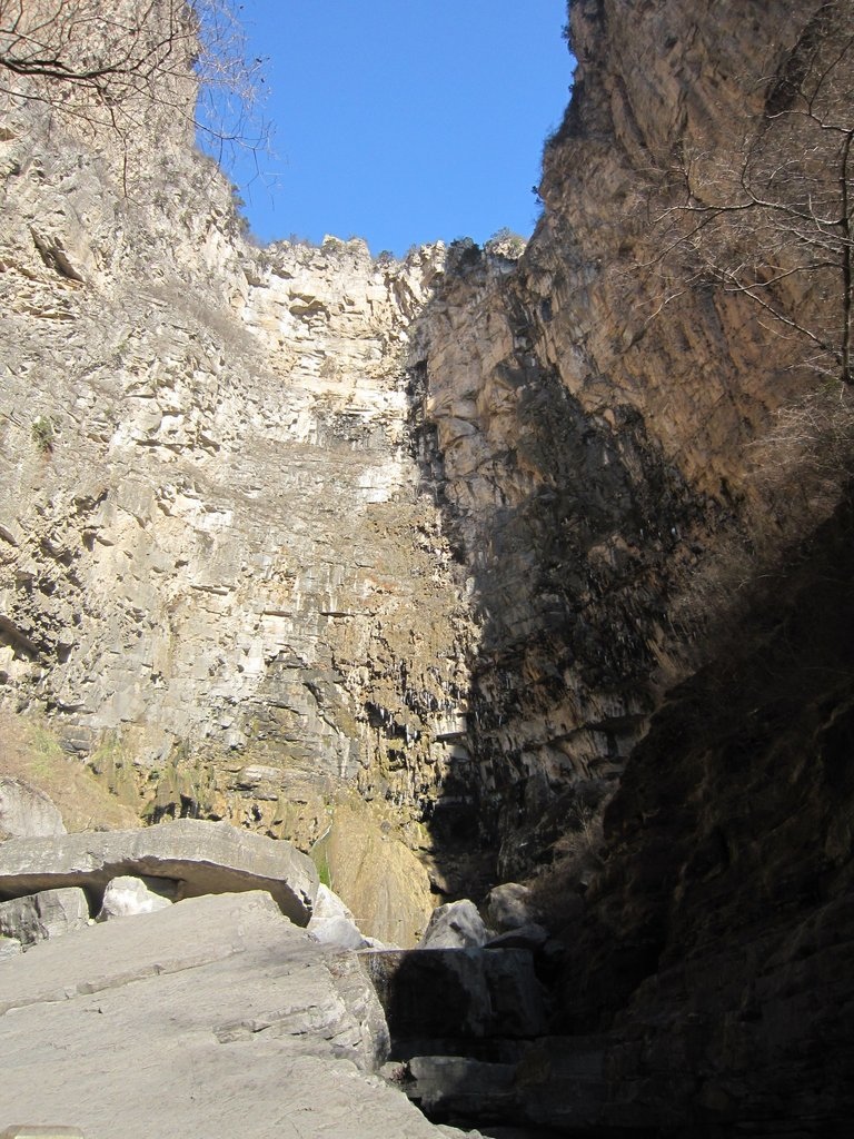 小寨溝雲台山風景區-中國駱駝