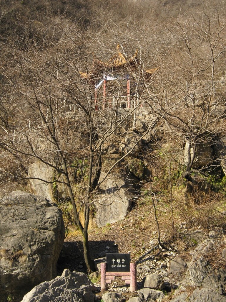 小寨溝雲台山風景區-中國駱駝