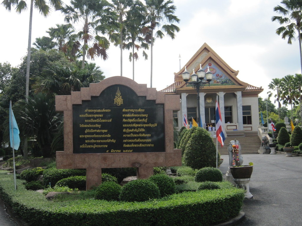 九世皇廟-泰國駱駝