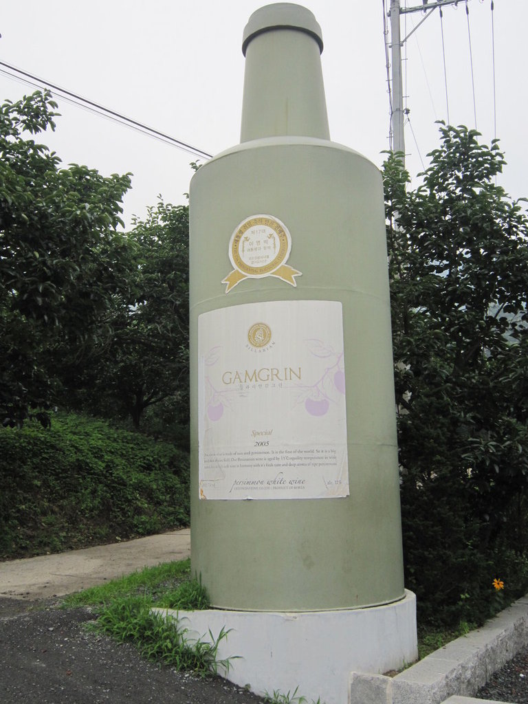 慶州柿酒隧道-韓國駱駝