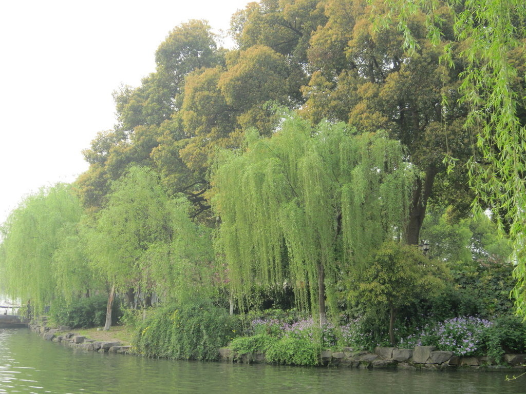 蘇隄春曉 杭州西湖 游重森 痞客邦